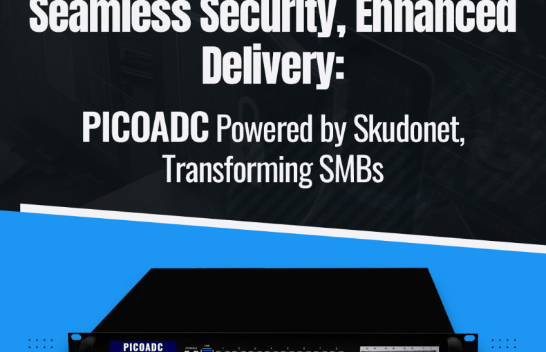 Seamless Security, Enhanced Delivery: PICOADC by Skudonet, Transforming SMBs.